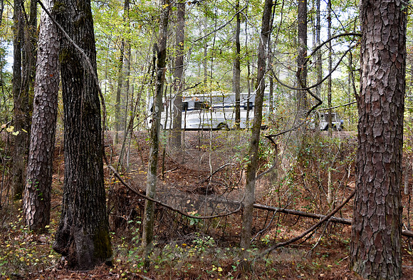 SOUTHBOUND RV (Natchez Trace nr Mathiston MS)
