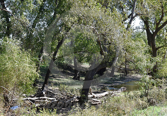ASH CREEK CROSSING #2 (nr Larned KS)