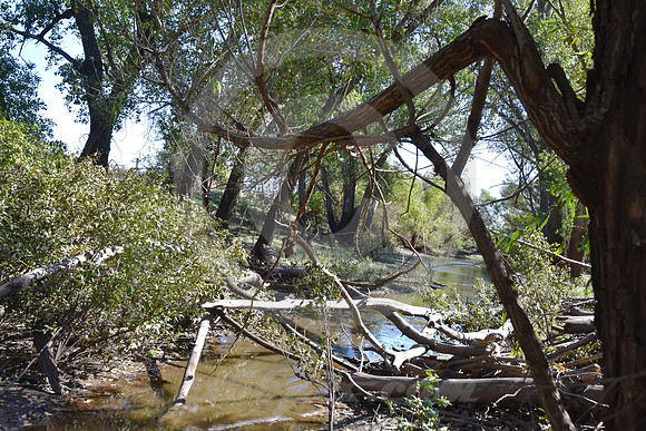 ASH CREEK CROSSING #1 (nr Larned KS)