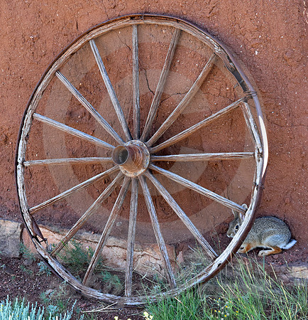 FORT UNION #11 (nr Watrous NM)