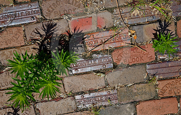 WEEDS IN BRICK (Lincoln Highway Ligonier IN)