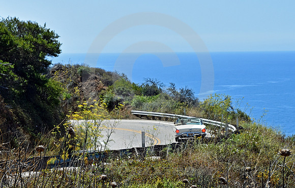 CALIFORNIA STYLE #52 (nr Monterey CA)