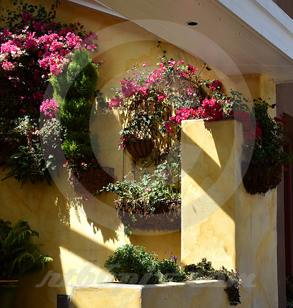 CALIFORNIA STYLE #138 (Monterey CA)