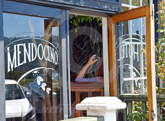 CALIFORNIA LIFE #27 (Mendocino CA)