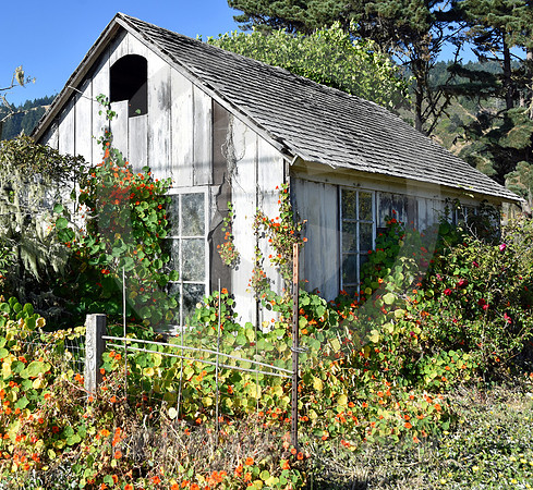 CALIFORNIA STYLE #187 (Point Arena CA)