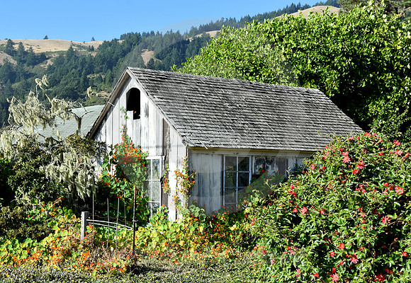 CALIFORNIA STYLE #188 (Point Arena CA)