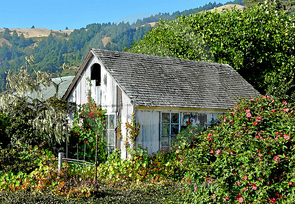 CALIFORNIA STYLE #199 (Point Arena CA)