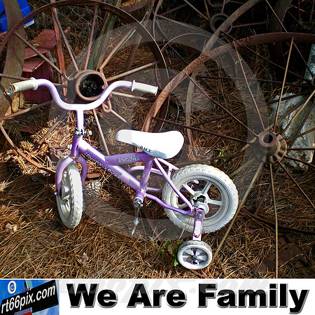 We Are Family