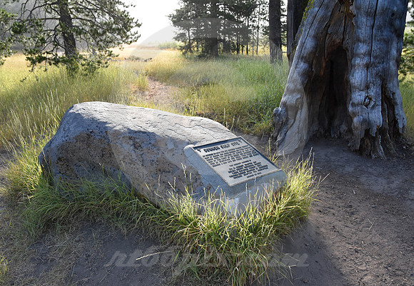 ALDER CREEK #4 (nr Truckee CA)