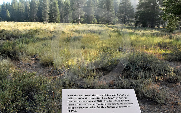 ALDER CREEK #5 (nr Truckee CA)