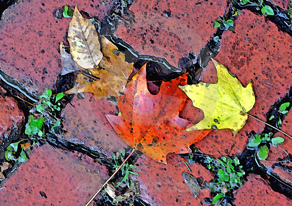 LEAVES ON BRICK #1 (Lincoln Highway nr Robertsville OH)