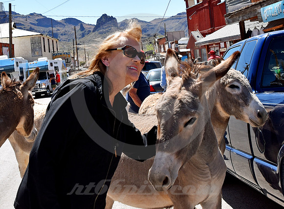 POSING (Rt 66 Oatman AZ)