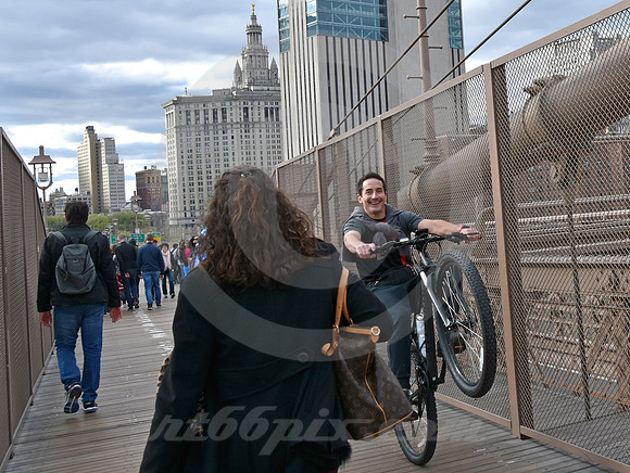 BROOKLYN BRIDGE #102 (New York)