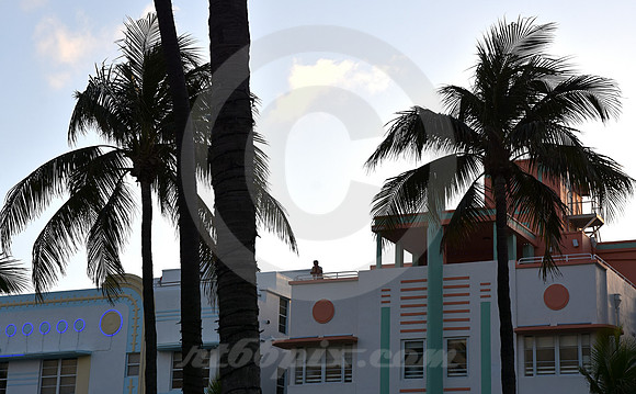 MIAMI BEACH #166 (Miami Beach FL)