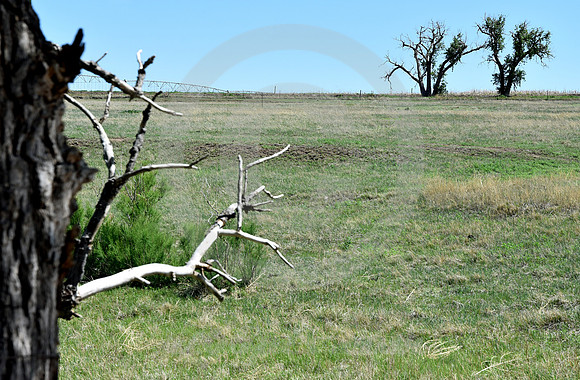 CHARLIE'S RUTS #2 (nr Lakin KS)
