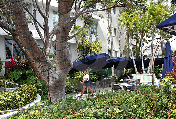 MIAMI BEACH #6 (Miami Beach FL)
