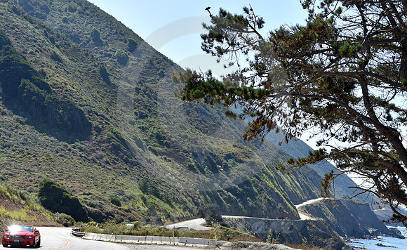 CALIFORNIA STYLE #29 (nr Monterey CA)