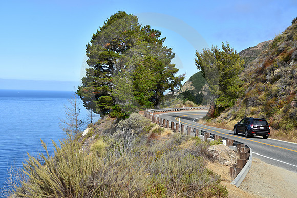 CALIFORNIA STYLE #41 (nr Monterey CA)