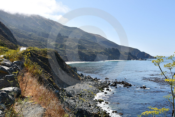 CALIFORNIA STYLE #48 (nr Monterey CA)
