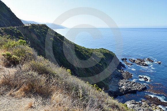 CALIFORNIA STYLE #50 (nr Monterey CA)