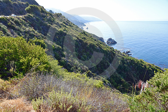 CALIFORNIA STYLE #51 (nr Monterey CA)