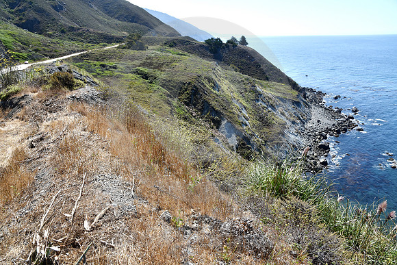 CALIFORNIA STYLE #53 (nr Monterey CA)