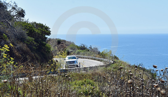 CALIFORNIA STYLE #56 (nr Monterey CA)