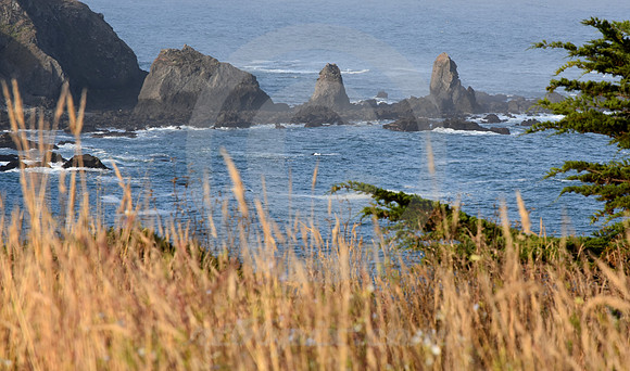 CALIFORNIA STYLE #61 (nr Mendocino CA)