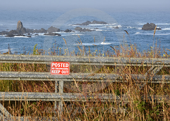 CALIFORNIA STYLE #63 (nr Mendocino CA)