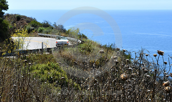 CALIFORNIA STYLE #127 (nr Monterey CA)