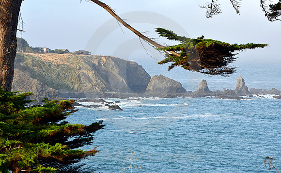 CALIFORNIA STYLE #156 (nr Mendocino CA)
