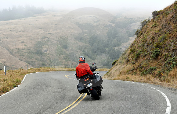 CALIFORNIA LIFE #105 (nr Gualala CA)