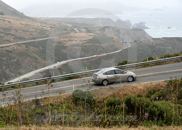CALIFORNIA LIFE #106 (nr Gualala CA)