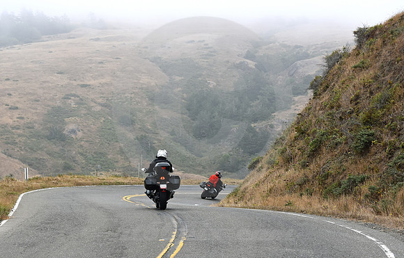 CALIFORNIA LIFE #107 (nr Gualala CA)