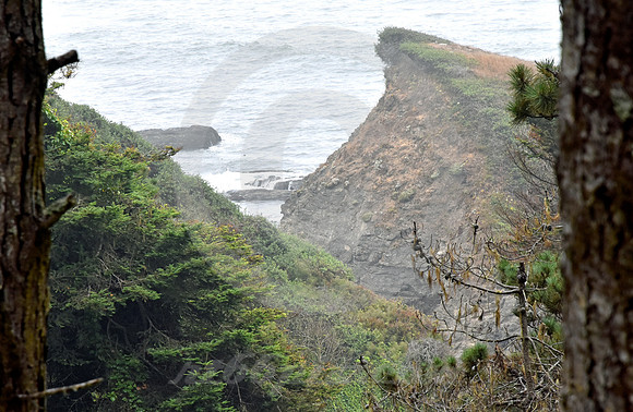 CALIFORNIA STYLE #162 (nr Gualala CA)
