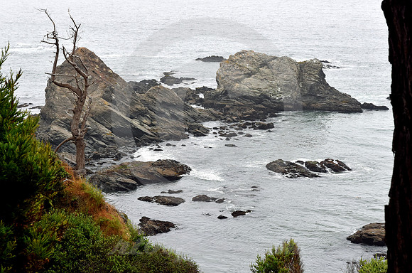 CALIFORNIA STYLE #164 (nr Gualala CA)
