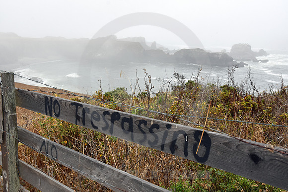 CALIFORNIA STYLE #165 (nr Point Arena CA)
