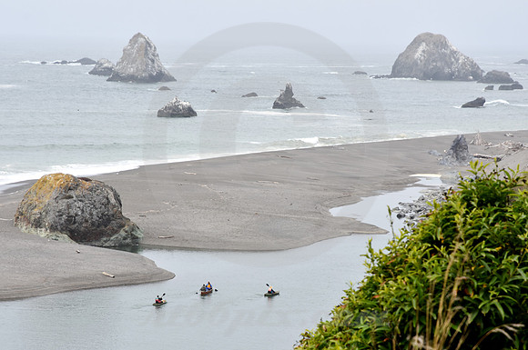 CALIFORNIA LIFE #111 (nr Tomales CA)
