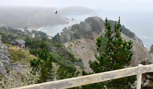 CALIFORNIA STYLE #168 (nr Point Reyes CA)