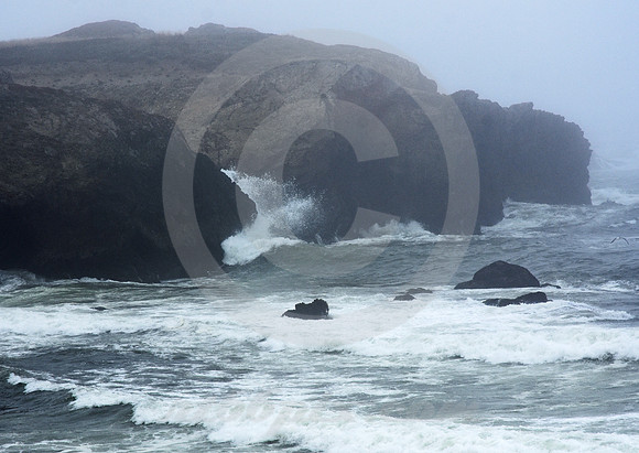 CALIFORNIA STYLE #169 (nr Big Sur CA)