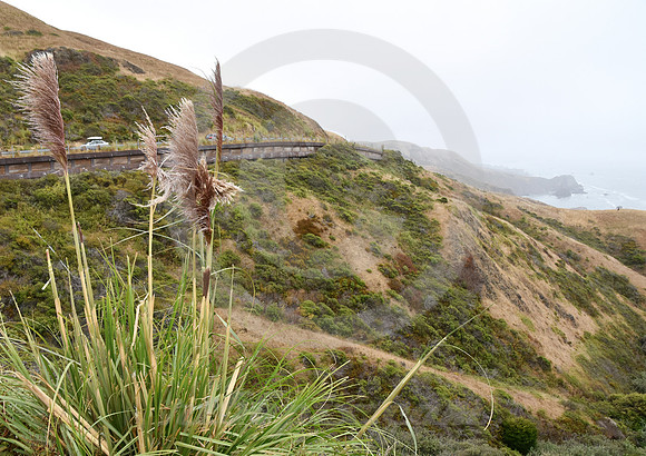 CALIFORNIA STYLE #170 (nr Big Sur CA)