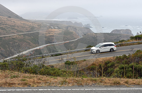 CALIFORNIA LIFE #126 (nr Gualala CA)