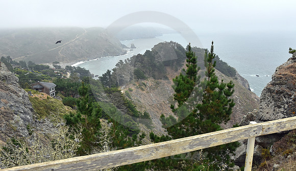 CALIFORNIA STYLE #175 (nr Point Reyes CA)