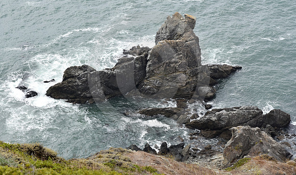 CALIFORNIA STYLE #177 (nr Point Reyes CA)