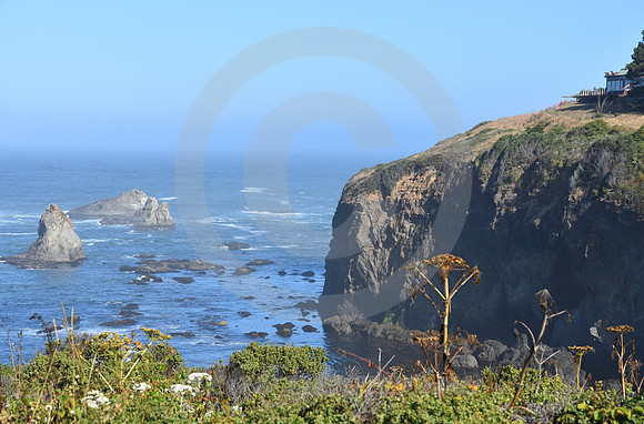 CALIFORNIA STYLE #178 (nr Mendocino CA)