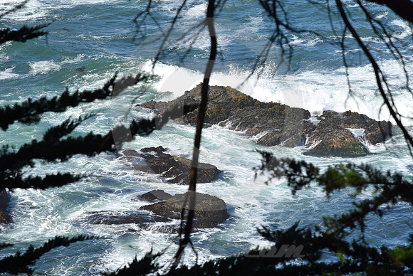 CALIFORNIA STYLE #182 (nr Mendocino CA)