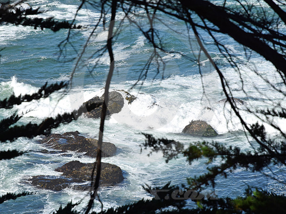 CALIFORNIA STYLE #184 (nr Mendocino CA)
