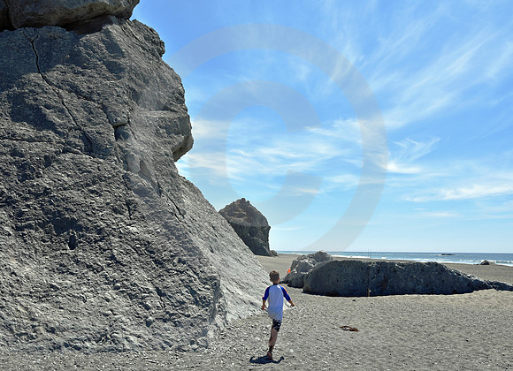 CALIFORNIA LIFE #168 (nr Crescent City CA)