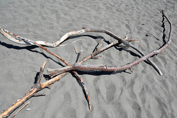 CALIFORNIA STYLE #289 (nr Crescent City CA)