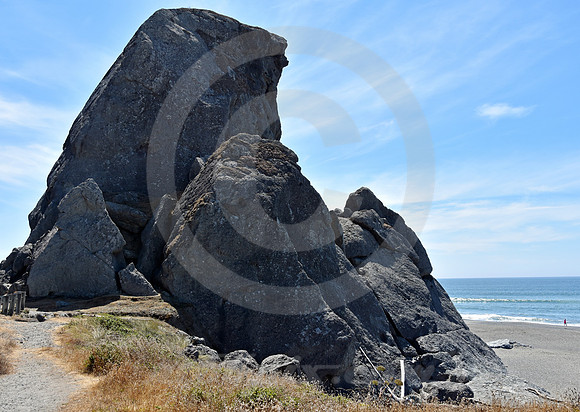 CALIFORNIA LIFE #169 (nr Crescent City CA)